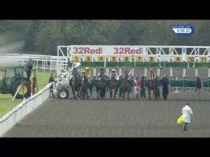 Video preview image for Kempton Park 18:55 - 32Red Casino Maiden Fillies' Stakes (5)