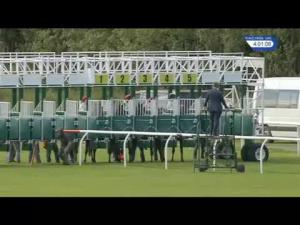 Video preview image for Musselburgh 16:00 - EBF Stallions Breeding Winners Fillies' Handicap (3)