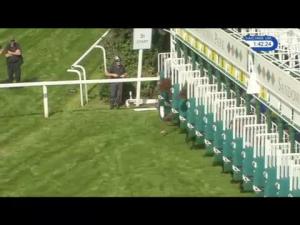 Video preview image for Sandown Park 13:40 - Watch Racing UK On Sky 432 Nursery Handicap (Qualifier) (5)