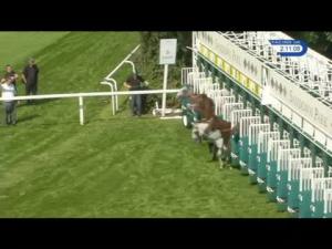 Video preview image for Sandown Park 14:10 - Visit racinguk.com Handicap (5)