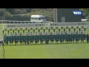 Video preview image for Sandown Park 14:45 - British Stallion Studs EBF Maiden Stakes (5) (Div 1)