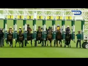 Video preview image for Thirsk 14:55 - Captain Jack Sparrow Is Here Today Selling Handicap (6)