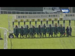 Video preview image for Sandown Park 16:25 - Happy 10th Birthday Amethyst Lettings Fillies' Handicap (5)