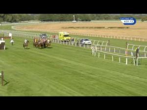 Video preview image for Bangor-On-Dee 16:50 - Clear Channel Outdoor Handicap Hurdle (4)