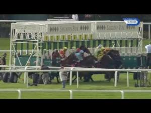 Video preview image for Sandown Park 17:00 - Bishopsgate Pay Handicap (4)