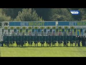 Video preview image for Sandown Park 16:45 - Betbright Casino Handicap (4)