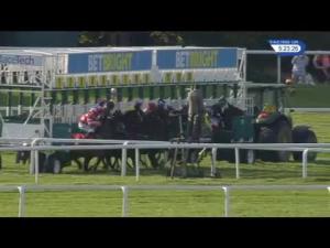Video preview image for Sandown Park 17:20 - Betbright Handicap (4)