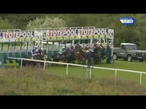 Video preview image for Hamilton Park 17:25 - Bet Totequadpot At betfred.com Handicap (6)