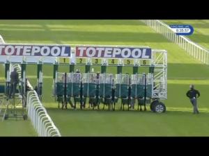 Video preview image for Hamilton Park 18:35 - Bet Totewin At betfred.com Handicap (5)