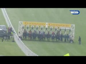 Video preview image for Goodwood 14:05 - Roa/Racing Post Owners Jackpot EBF Fillies' Novice Stakes (5)