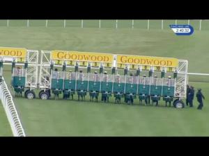 Video preview image for Goodwood 14:40 - 188bet.co.uk EBF Peter Willett Maiden Stakes (2)