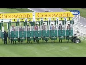 Video preview image for Goodwood 15:15 - Docker Hughes Fillies' Nursery Handicap (2)