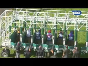 Video preview image for Hamilton Park 15:35 - Visit The All New racinguk.com Handicap (6) (Div 1)