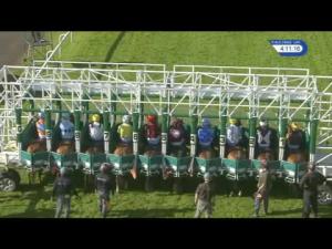 Video preview image for Hamilton Park 16:10 - Visit The All New racinguk.com Handicap (6) (Div 2)