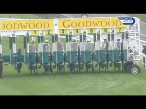 Video preview image for Goodwood 16:25 - Thomas Butcher 21st Birthday Handicap (4)