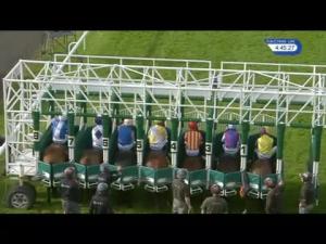 Video preview image for Hamilton Park 16:45 - EBF Stallions Flower Of Scotland Fillies' Handicap (3)