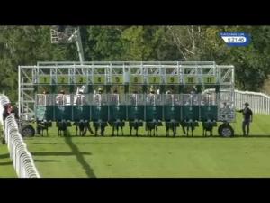 Video preview image for Hamilton Park 17:20 - Racing UK Profits Returned To Racing Handicap (6)