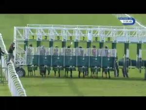 Video preview image for Hamilton Park 17:55 - Racing UK HD On Sky 432 Handicap (5)