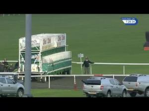 Video preview image for Kempton Park 19:25 - 32red.com Maiden Stakes (5)