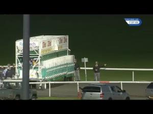 Video preview image for Kempton Park 19:55 - 100% Profit Boost At 32redsport.com Fillies' Handicap (5)