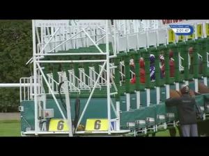 Video preview image for Haydock Park 14:00 - 32Red Casino Maiden Stakes (3)
