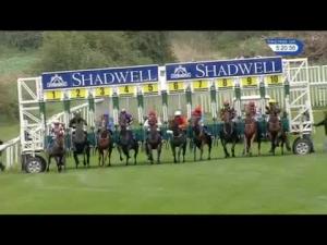 Video preview image for Salisbury 17:20 - Shadwell Stud Racing Excellence Apprentice Handicap (5)