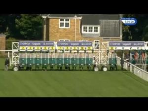 Video preview image for Ascot 17:00 - Weatherbys Handicap (2)