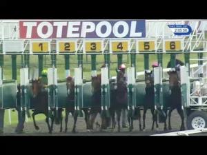 Video preview image for Kempton Park 14:05 - Toteplacepot September Stakes (Group 3) (1)