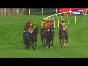 Video preview image for Stratford-on-Avon 15:05 - George Pragnell Gold Cup Handicap Chase (3)