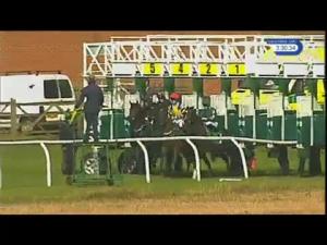 Video preview image for Thirsk 15:30 - EBF Stallions Maiden Fillies' Stakes (4)