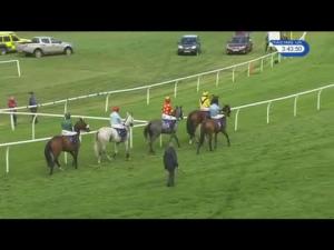 Video preview image for Stratford-on-Avon 15:40 - Cremin Silver Anniversary Handicap Hurdle (2)