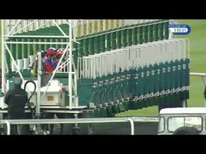 Video preview image for Kempton Park 15:50 - totepoolliveinfo.com Nursery Handicap (4)