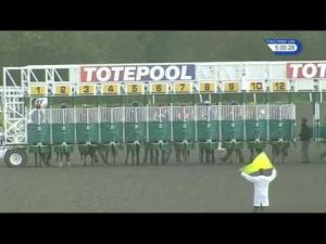 Video preview image for Kempton Park 17:00 - Toteexacta Handicap (4)
