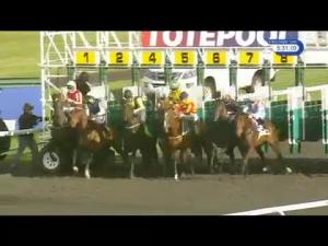 Video preview image for Kempton Park 17:30 - Totetrifecta Handicap (Qualifier) (4)