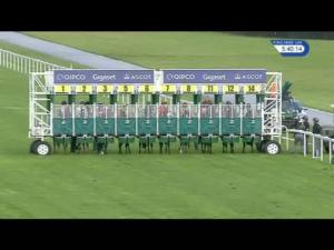 Video preview image for Ascot 17:40 - Superstars Handicap (3)