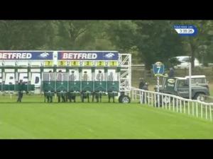 Video preview image for York 15:35 - Judith Marshall Memorial British EBF Novice Stakes (Sire-Restricted) (3)