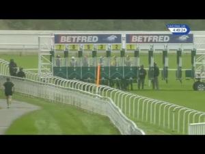 Video preview image for York 16:45 - Peter Sutton Memorial British EBF Novice Stakes (3)