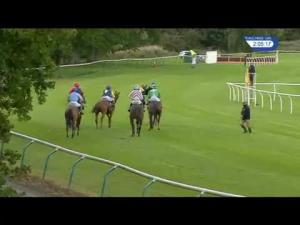 Video preview image for Perth 14:05 - Old Mout Cider Novices' Hurdle (4)