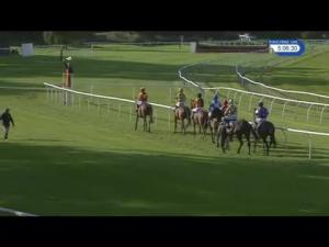 Video preview image for Perth 17:05 - Perthshire Business Tourism Group Standard Open National Hunt Flat (5)