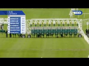Video preview image for Catterick Bridge 15:45 - Bet At racinguk.com Handicap (6) (Div 1)