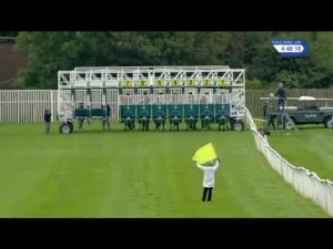 Video preview image for Catterick Bridge 16:45 - Wise Betting At racinguk.com Handicap (5)