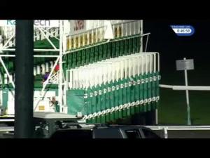 Video preview image for Kempton Park 20:45 - Racing Post Reader's Award; Vote Kempton Handicap (6) (Div 2)