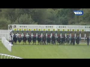 Video preview image for Sandown Park 14:35 - Supporting British Stallions EBF Novice Stakes (5)