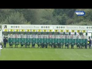 Video preview image for Sandown Park 16:15 - Directorship Handicap (4)