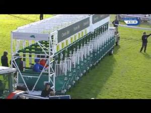 Video preview image for Chester 16:30 - Ewl Maiden Fillies' Stakes (4)