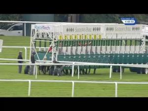 Video preview image for Sandown Park 16:45 - Falcon Green Personnel Handicap (4)