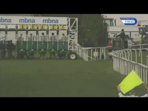 Video preview image for Chester 17:05 - #thembnateam Handicap (3)