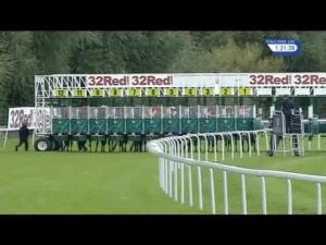 Video preview image for Chester 13:30 - #thembnateam Handicap (4)