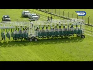 Video preview image for Redcar 14:20 - Weatherbys Bank Foreign Exchange Handicap (5) (Div 1)