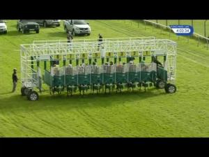 Video preview image for Redcar 16:00 - Market Cross Jewellers Maiden Stakes (5)
